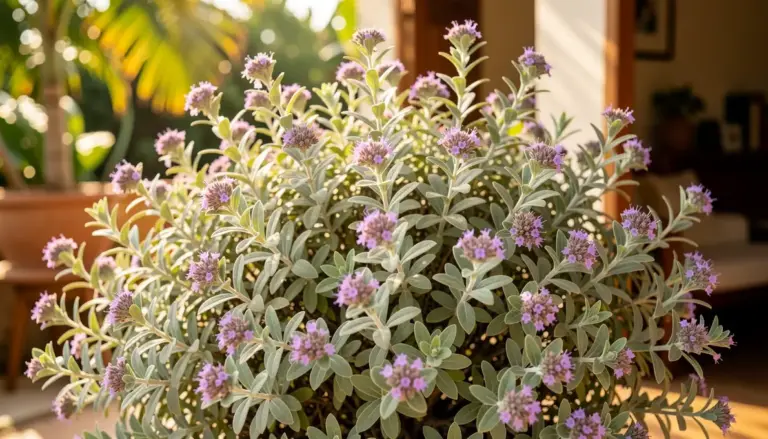 7 COMBINAÇÕES DE PLANTAS PARA JARDIM QUE VALORIZAM A CHUVA DE PRATA (Fotos e Tendências)